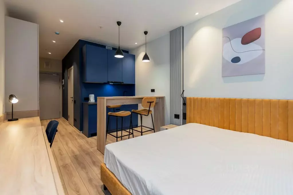 Студия Санкт-Петербург просп. Энергетиков, 8к2 (24.3 м) - Фото 2