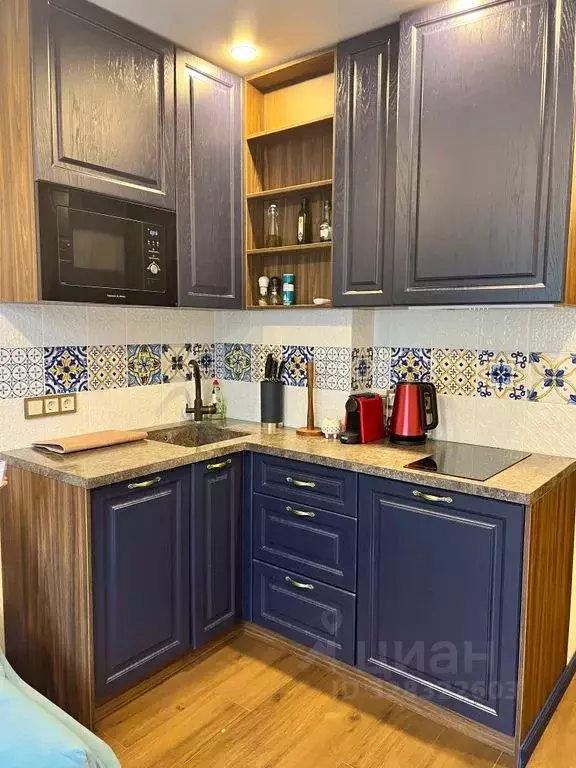 Студия Краснодарский край, Сочи пер. Севастопольский, 1Б (20.0 м) - Фото 2