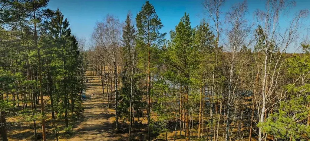 Участок в Ленинградская область, Всеволожский район, Колтушское ... - Фото 1