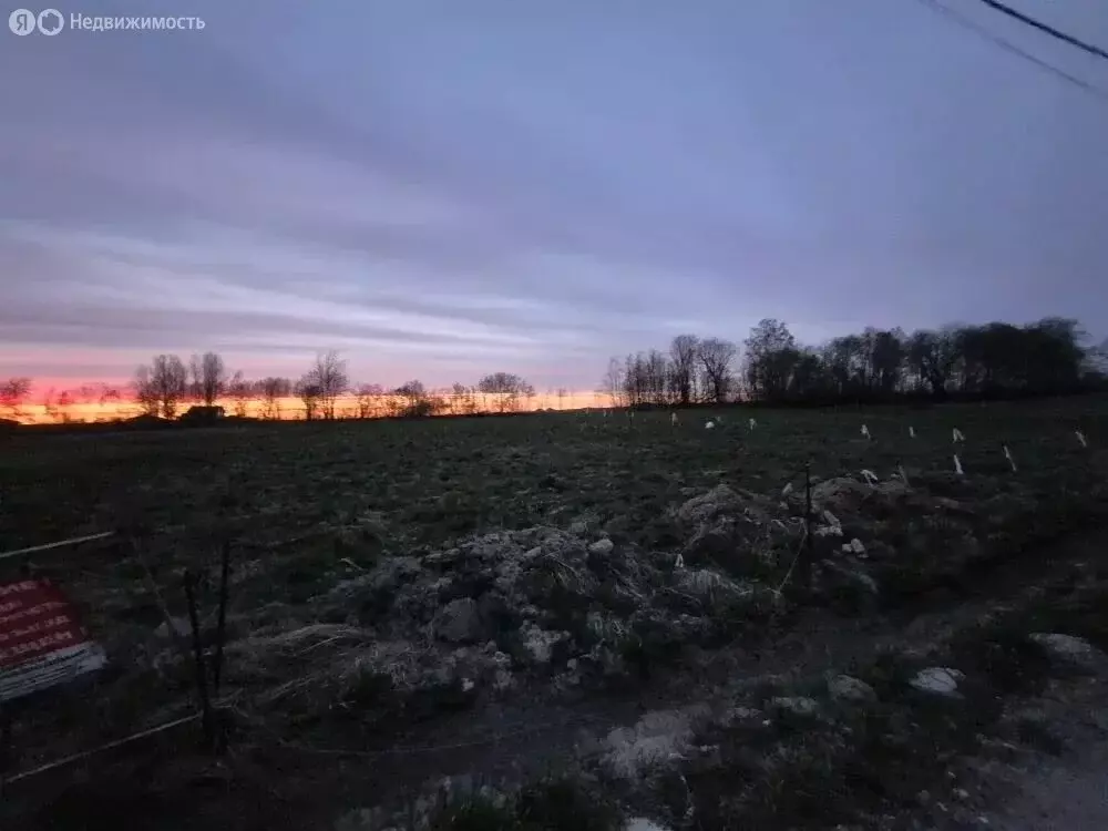 Участок в Ропшинское сельское поселение (6 м) - Фото 2