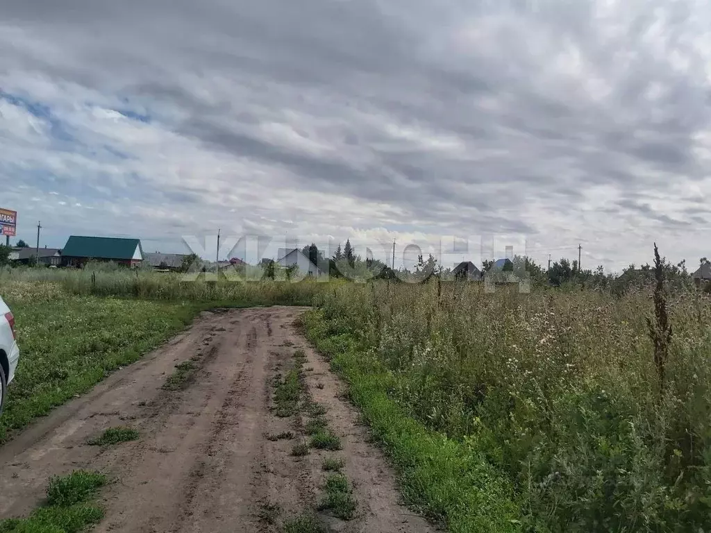 Участок в Новосибирская область, Новосибирский район, Морской ... - Фото 2