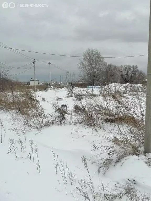 Участок в Первомайский район, село Фирсово (8.13 м) - Фото 2