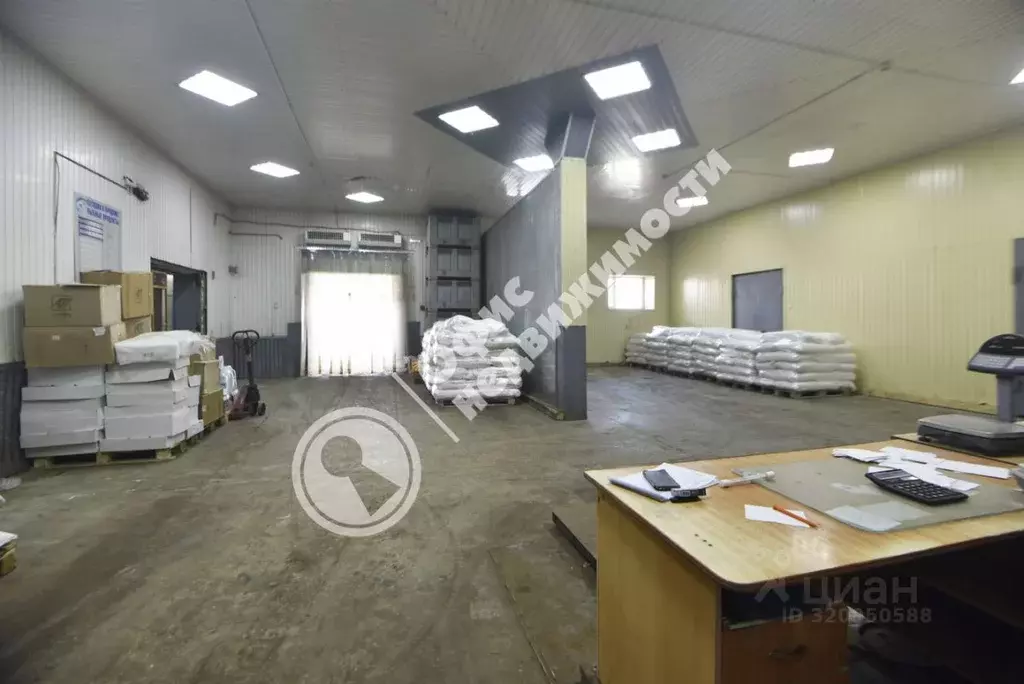 Производственное помещение в Пензенская область, Пенза ул. Антонова, ... - Фото 1