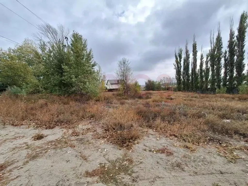 Участок в Волгоградская область, Городищенский район, Царицынское ... - Фото 0