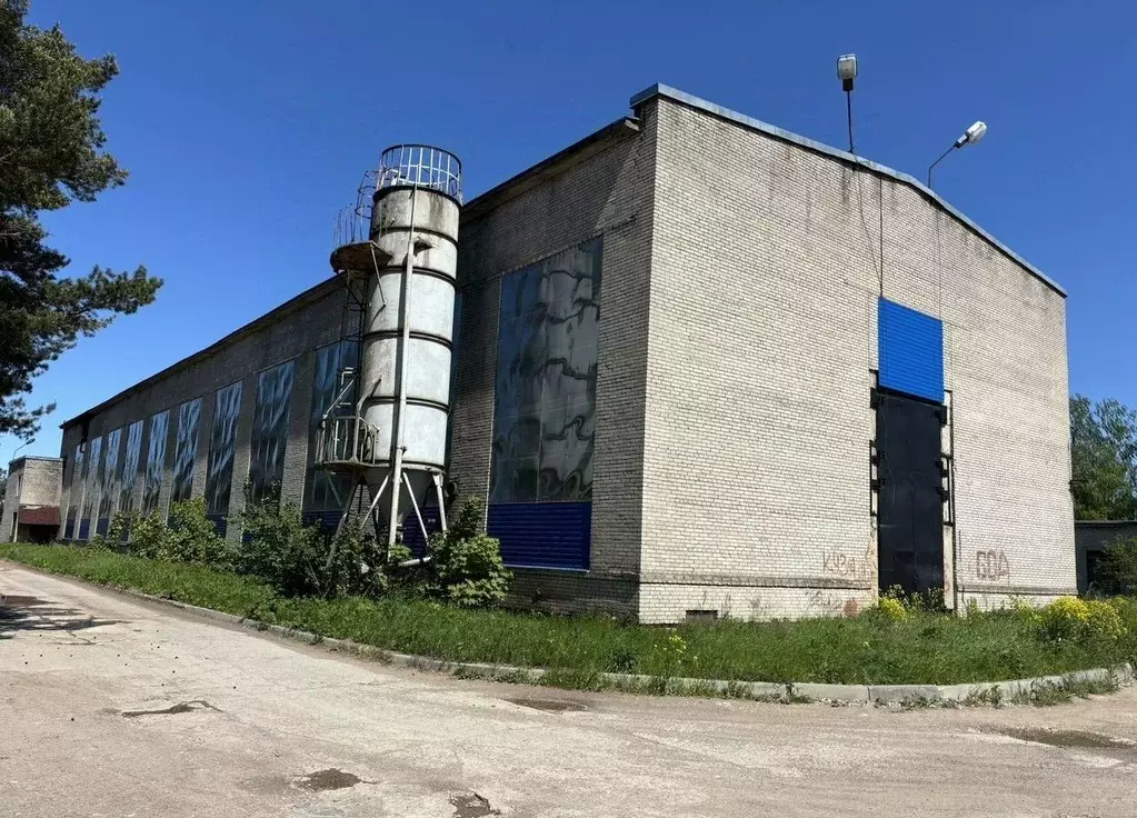 Производственное помещение в Ленинградская область, Ивангород ... - Фото 1
