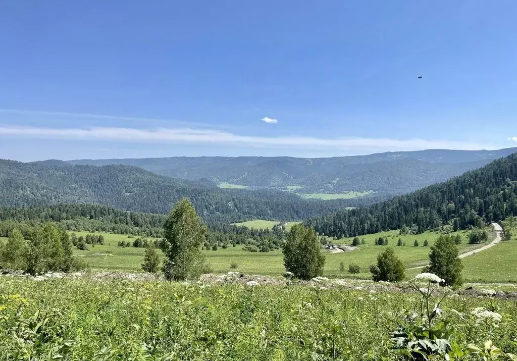 Участок в Алтай, Чемальский район, Элекмонарское с/пос, Седьмое Небо ... - Фото 0