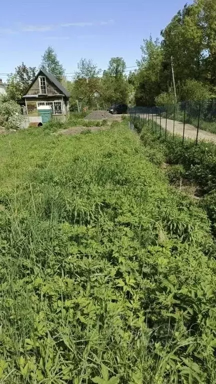 Участок в Ленинградская область, Ломоносовский район, Ропшинское ... - Фото 1
