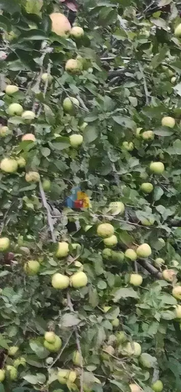 Дом в Тульская область, Тула городской округ, д. Лутовиново  (73 м) - Фото 2