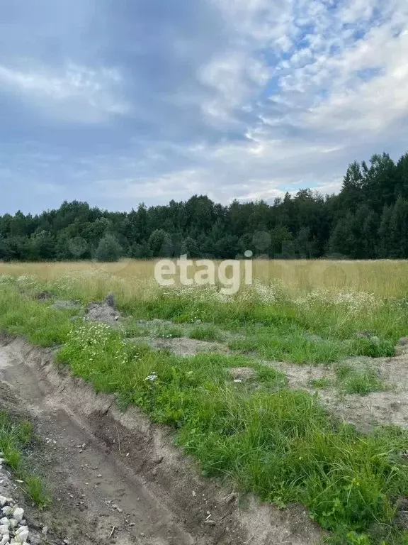 Участок 8 сот. (СНТ, ДНП) - Фото 1