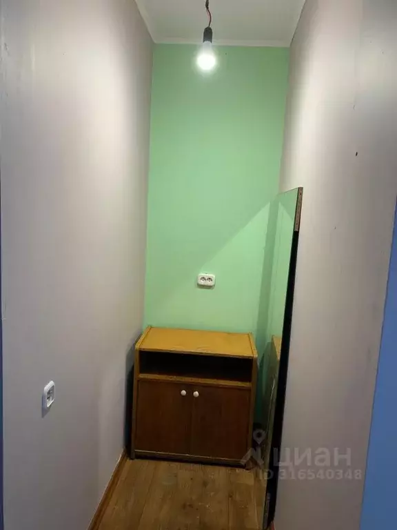 1-к кв. Алтайский край, Барнаул Власихинская ул., 154 (33.0 м) - Фото 2