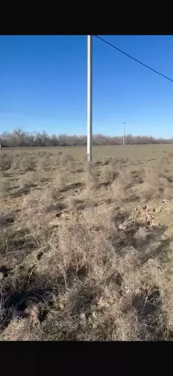 Участок в Астраханская область, Приволжский район, с. Яманцуг  (5.86 ... - Фото 1