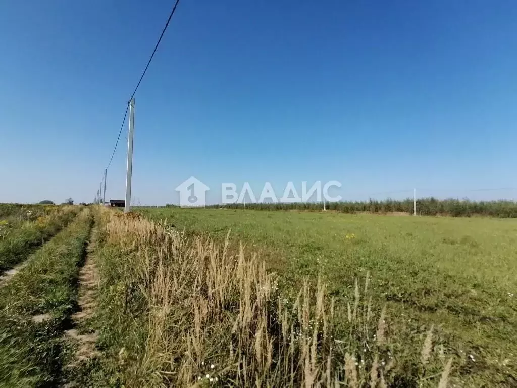Участок в Владимирская область, Судогодский район, Головинское ... - Фото 0