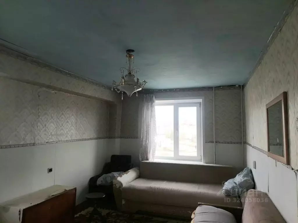 1-к кв. Красноярский край, Емельяновский муниципальный округ, Кедровый ... - Фото 2