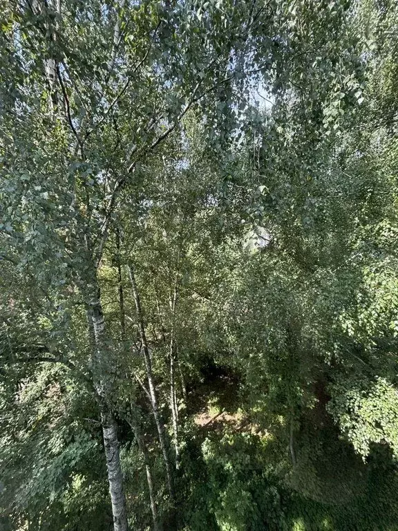 Квартира, 2 комнаты, 43 м - Фото 1