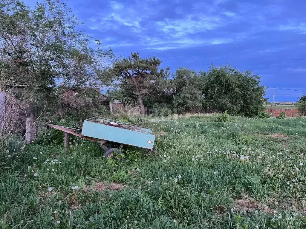 Участок в Амурская область, с. Тамбовка ул. Тамбовская (20.0 сот.) - Фото 0