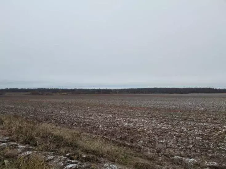 Участок в Московская область, Дмитровский муниципальный округ, д. ... - Фото 0
