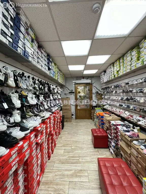 Торговая площадь (52.9 м) - Фото 2