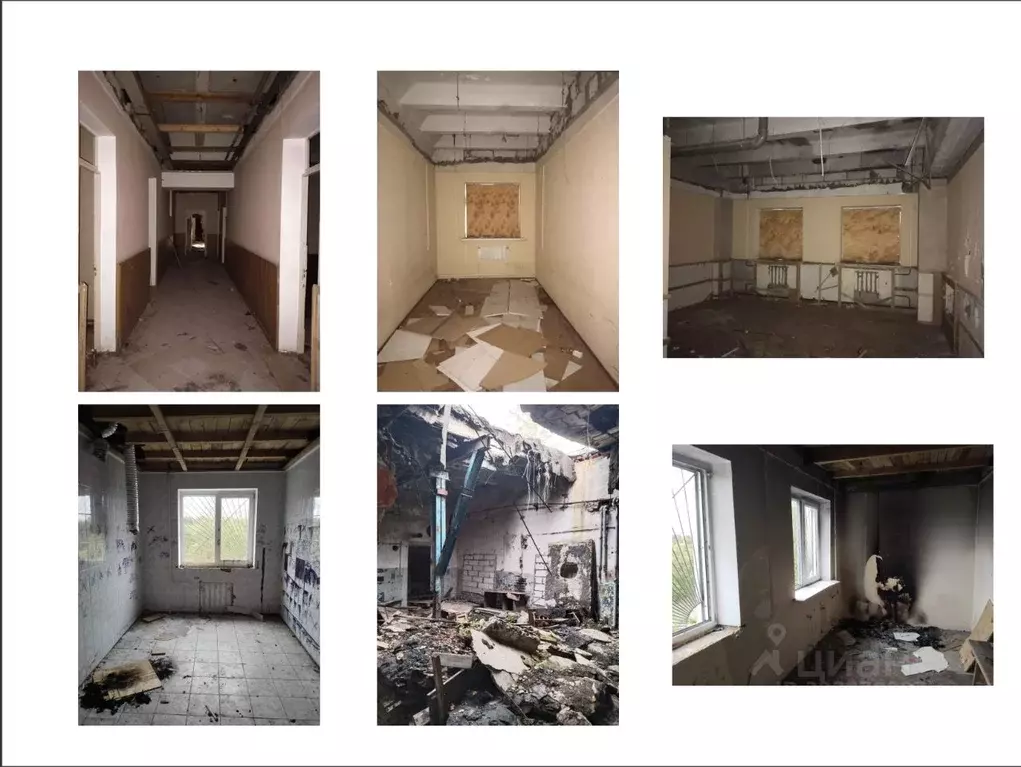 Помещение свободного назначения в Московская область, ... - Фото 1