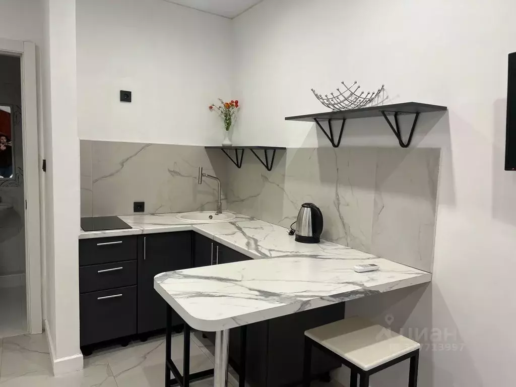 Студия Краснодарский край, Сочи Мамайка мкр, ул. Волжская, 17/1 (30.0 ... - Фото 2