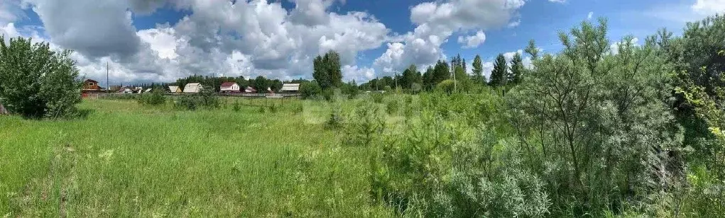 Участок в Иркутская область, Усольский район, Большееланское ... - Фото 1