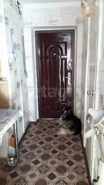 1-комнатная квартира: село Садовое, улица Ленина, 13 (38 м) - Фото 1