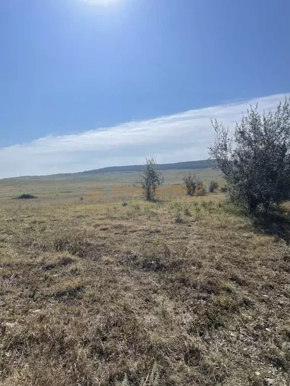 Участок в Ставропольский край, Шпаковский муниципальный округ, ... - Фото 1