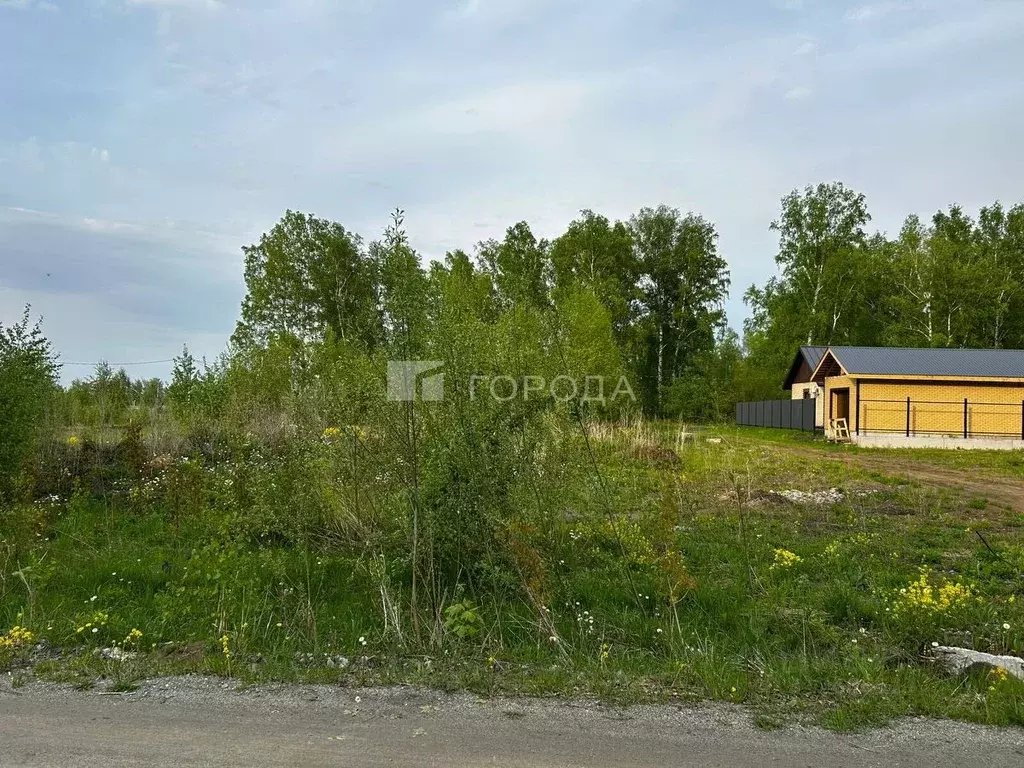 Участок в Новосибирская область, Новосибирский район, Станционный ... - Фото 1
