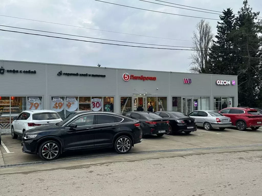 Помещение свободного назначения в Краснодарский край, Сочи городской ... - Фото 1