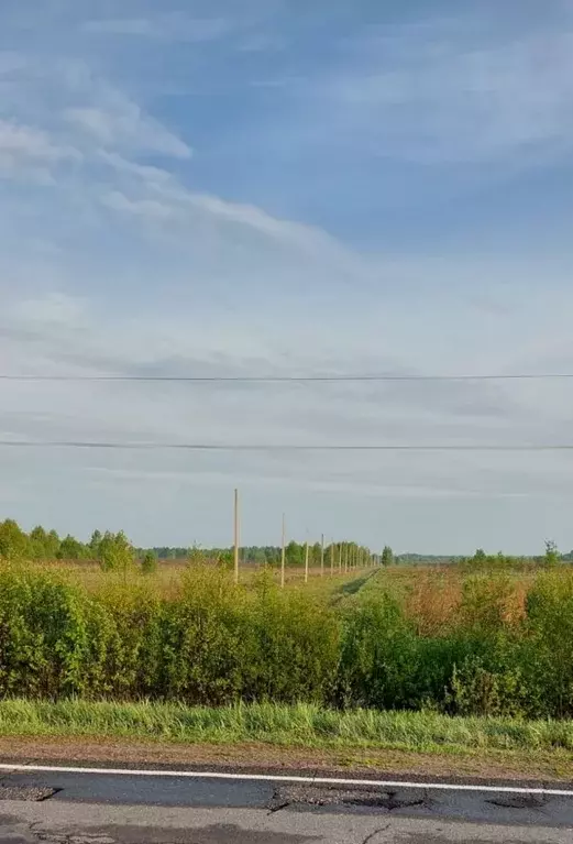 Участок в Тверская область, Конаковский муниципальный округ, Усадьба в ... - Фото 1