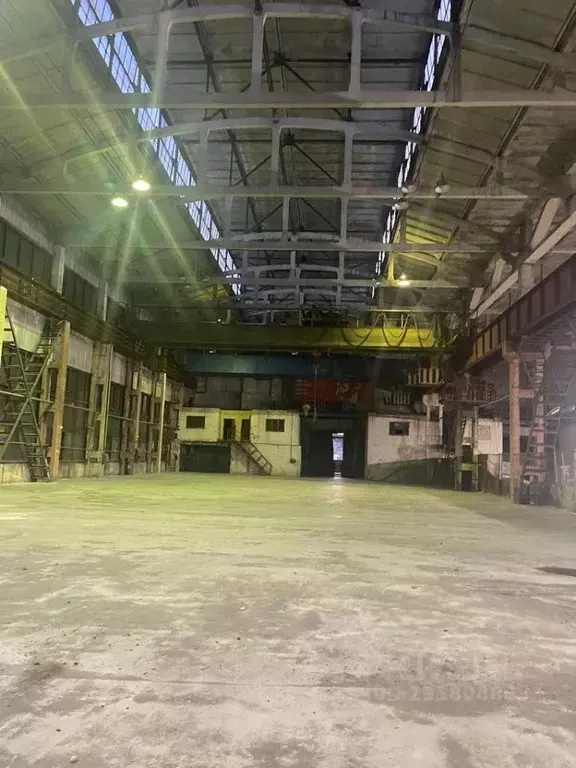 Производственное помещение в Воронежская область, Воронеж ул. Свободы, ... - Фото 1