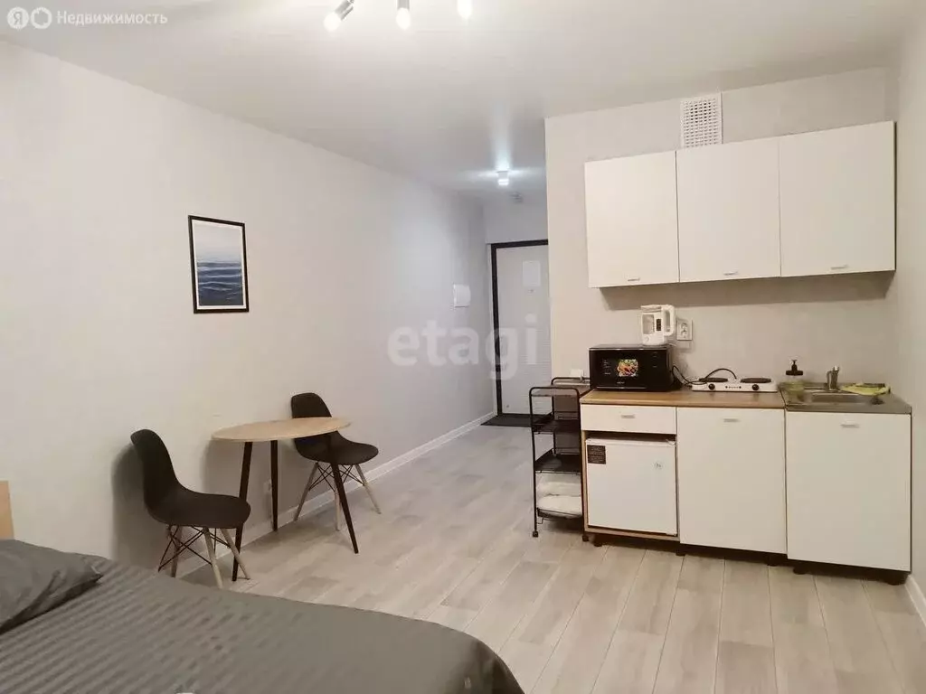 Квартира-студия: Уфа, улица Генерала Кусимова, 18 (27 м) - Фото 1
