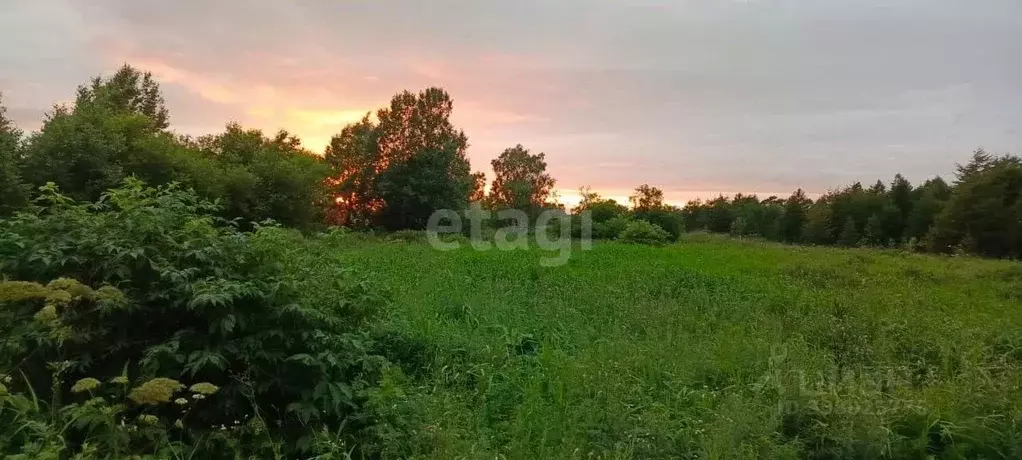 Участок в Сахалинская область, Корсаков  (16.6 сот.) - Фото 1