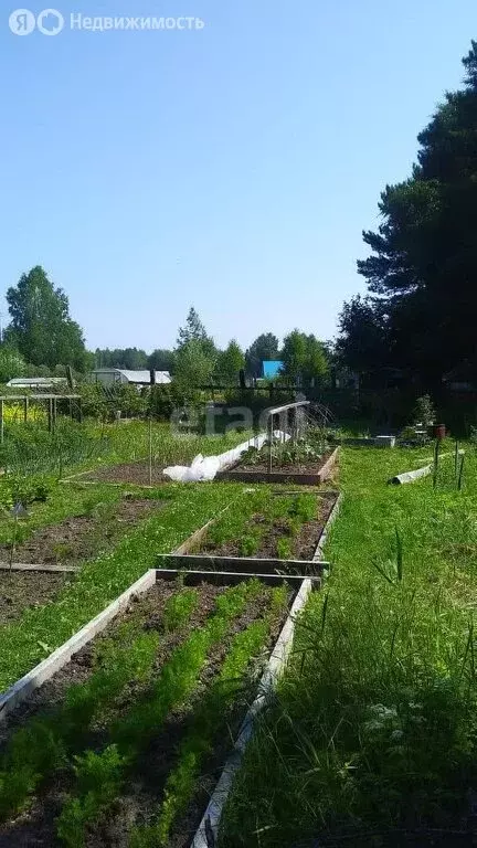 Дом в Башковское сельское поселение, дачное товарищество ... - Фото 0