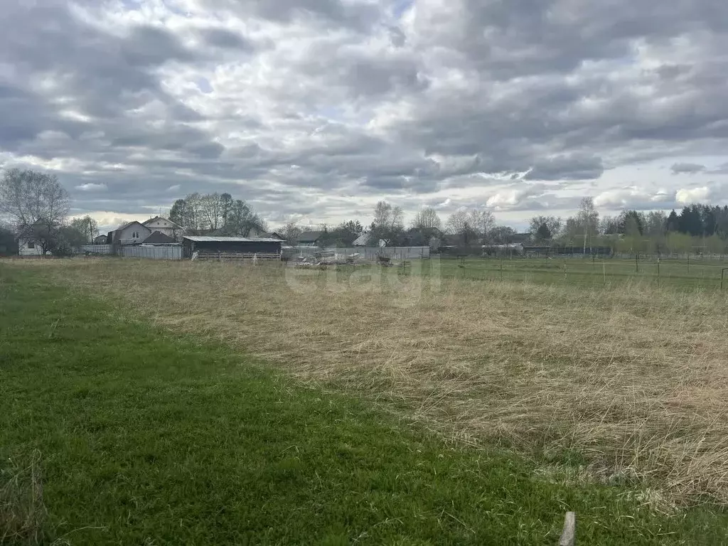 Участок в Тверская область, Калининский муниципальный округ, д. ... - Фото 2