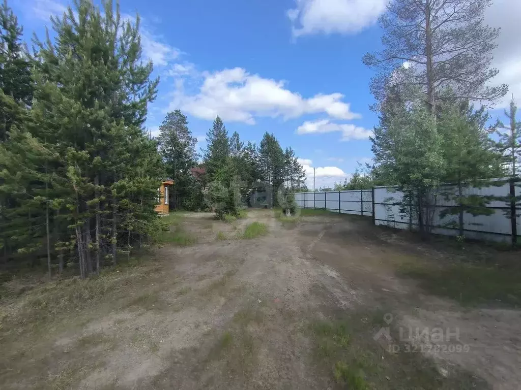 Участок в Ямало-Ненецкий АО, Тарко-Сале Пуровский район,  (6.15 сот.) - Фото 1