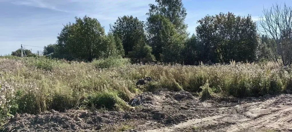 Участок в Московская область, Клин городской округ М-10 Россия, 89-й ... - Фото 2