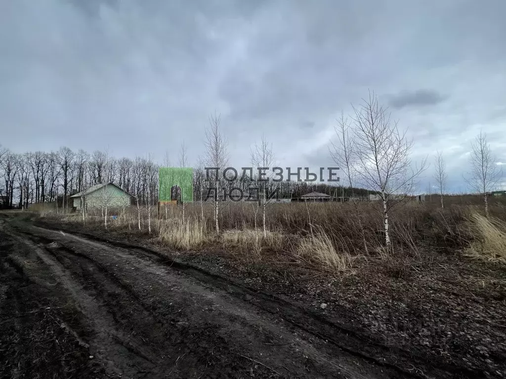 Участок в Орловская область, Орловский муниципальный округ, пос. ... - Фото 2