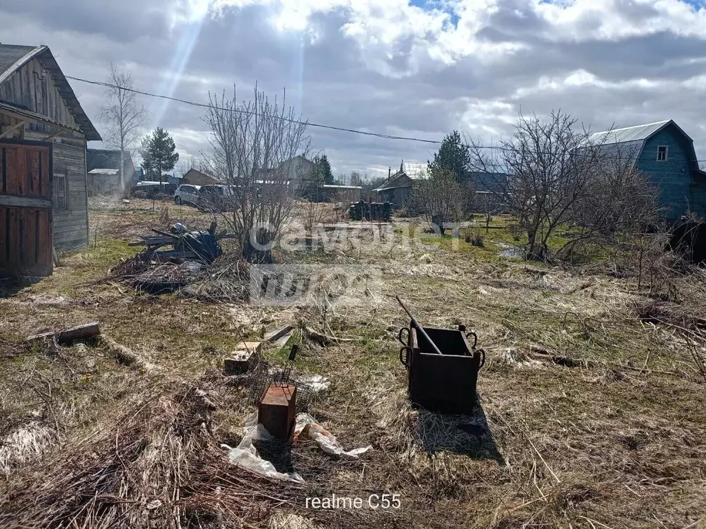 Участок в Вологодская область, Вологда Швейник садоводческое ... - Фото 1