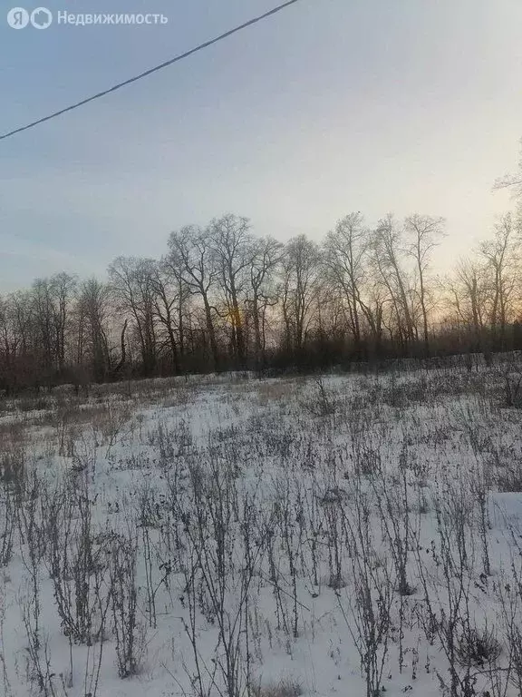 Участок в Саратов, 3-й Назаровский проезд (6 м) - Фото 1