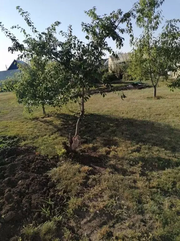 Участок в Самарская область, Новокуйбышевск городской округ, с. Горки ... - Фото 1