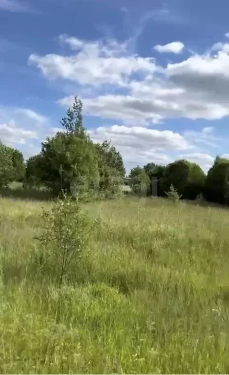 Участок в Ярославская область, Тутаевский муниципальный округ, ... - Фото 0