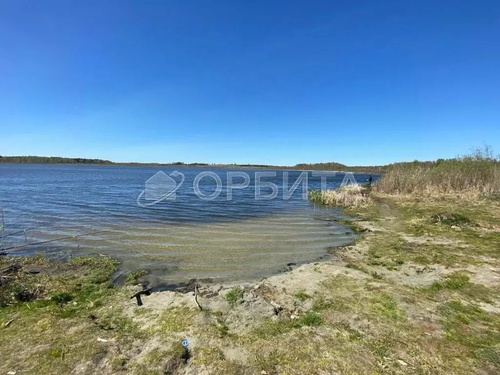 Участок в Тюменская область, Тюменский район, с. Борки  (50.0 сот.) - Фото 1