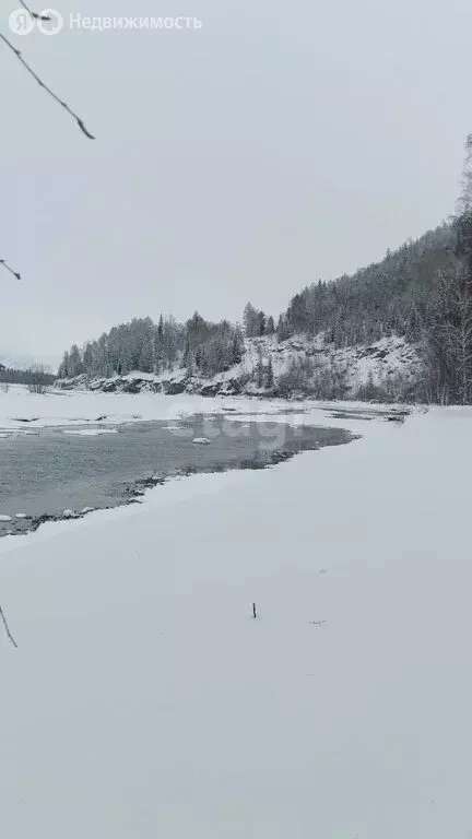 Участок в Усть-Коксинский район, село Верх-Уймон (112.5 м) - Фото 1