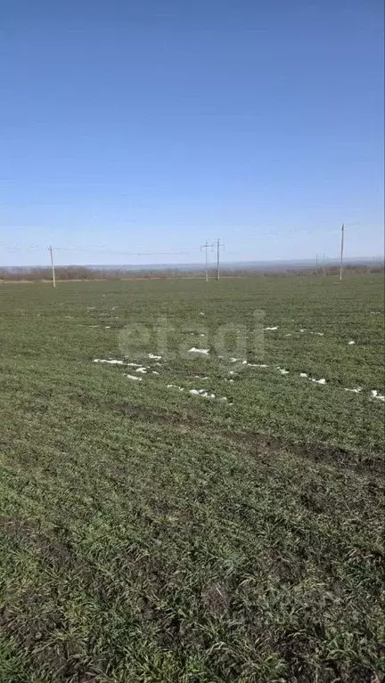 Участок в Ингушетия, Сунженский район, с. Берд-Юрт  (8.0 сот.) - Фото 2