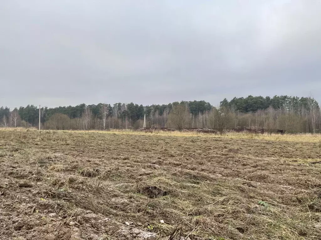 Участок в Калужская область, Перемышльский муниципальный округ, ... - Фото 2