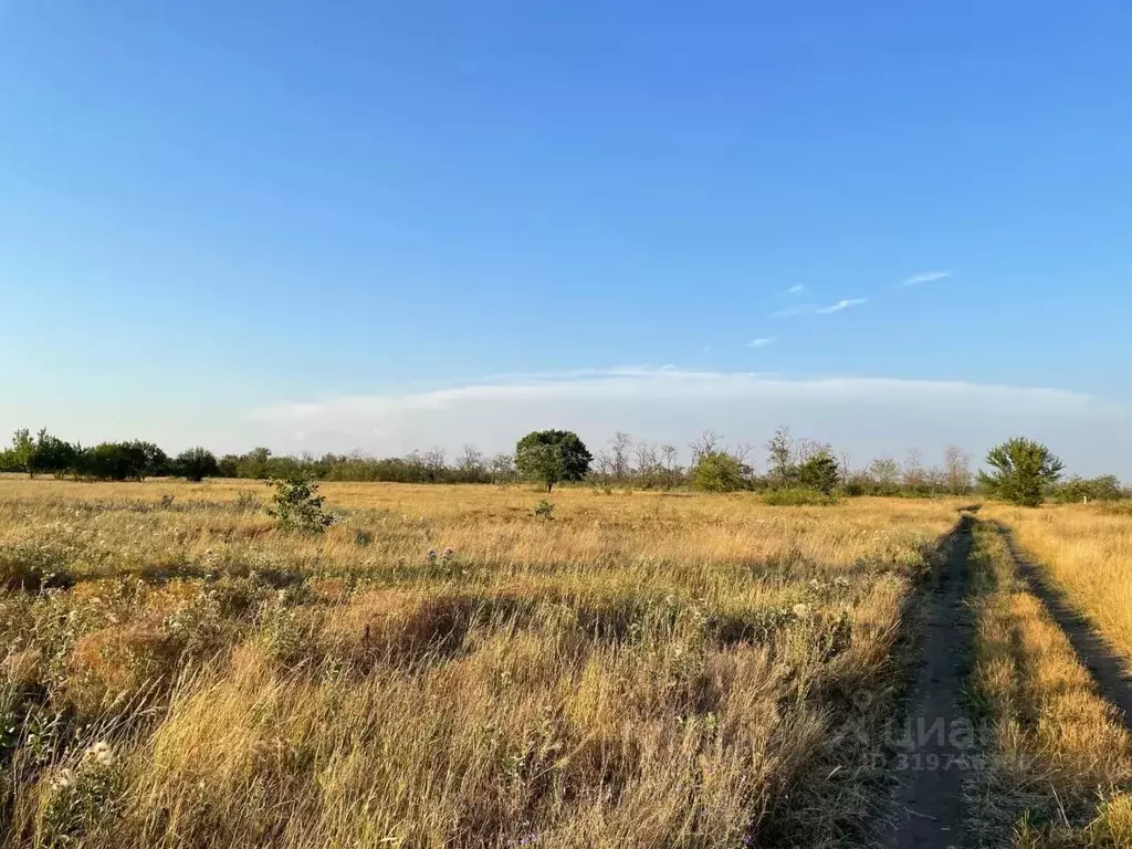 Участок в Краснодарский край, Ейский район, с. Кухаривка Солнечная ул. ... - Фото 1