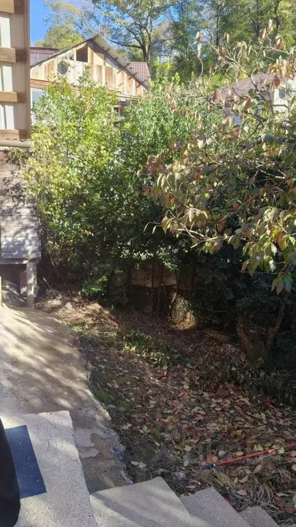 Дом в Краснодарский край, Сочи Лесхоз СТ, 11 (110 м) - Фото 1