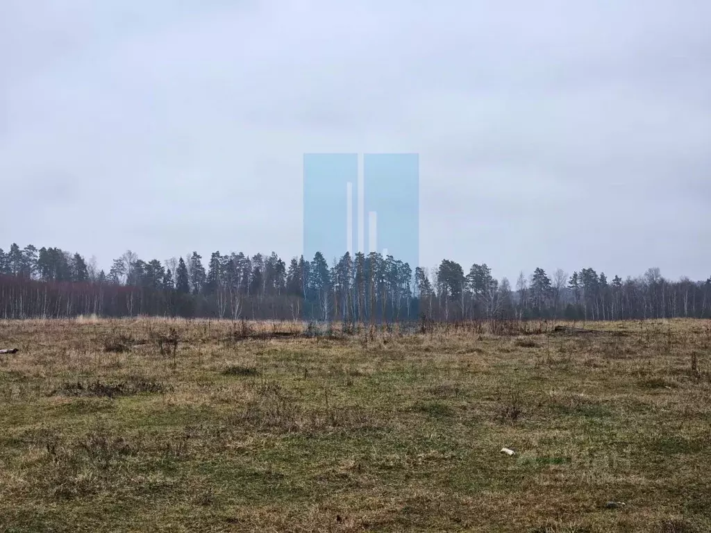 Участок в Московская область, Ступино городской округ, с. Починки ул. ... - Фото 1