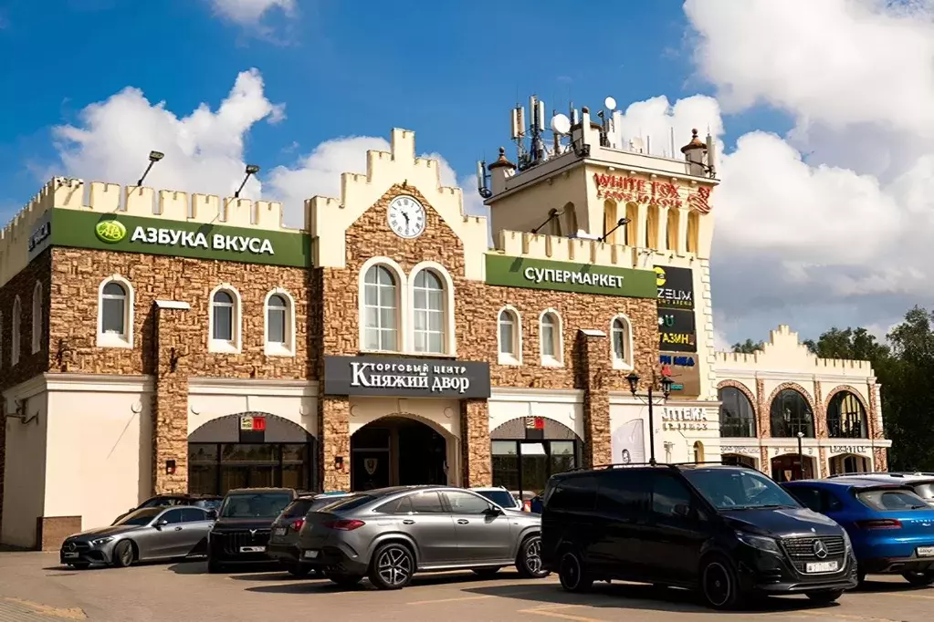 Торговая площадь в Московская область, Истра муниципальный округ, д. ... - Фото 1