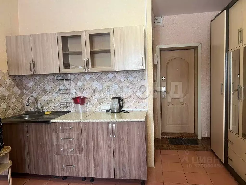 Студия Новосибирская область, Новосибирск Пашино мкр, ул. Знаменская, ... - Фото 2